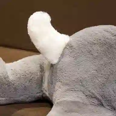 35cm50cm70cm