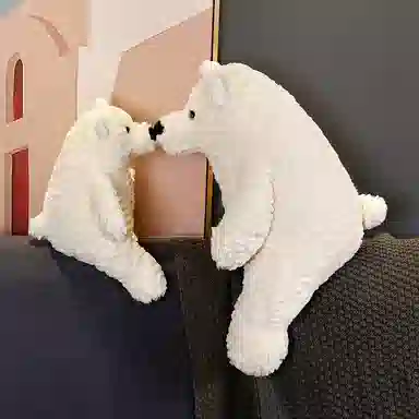30cm50cm