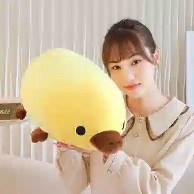 45cm55cm