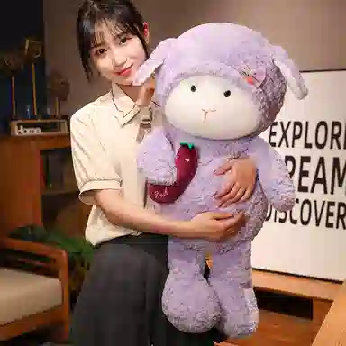 40cm60cm75cm