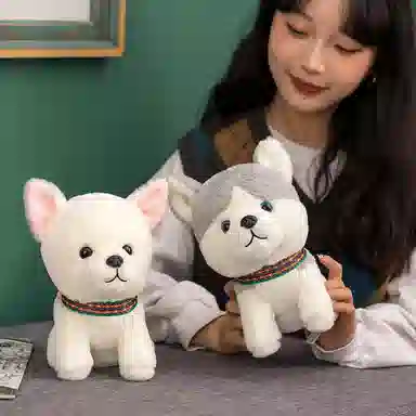 25cm