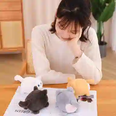 11cm