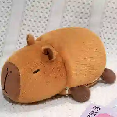 25cm30cm