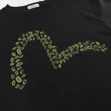 EVISU x F-LAGSTUF-F SS25 T