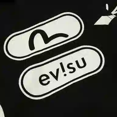 EVISU 2024