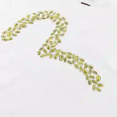 EVISU x F-LAGSTUF-F SS25 T