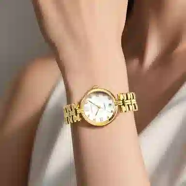 jin shi dun JSD.8987