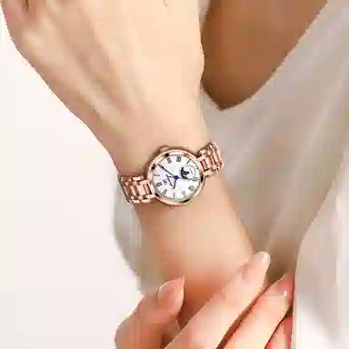 jin shi dun JSD.8981