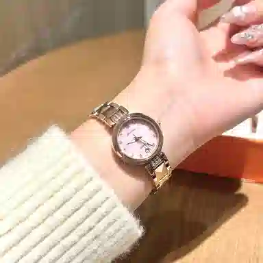 jin shi dun JSD.8988-G