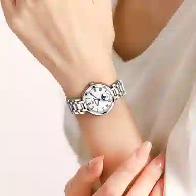 jin shi dun JSD.8981