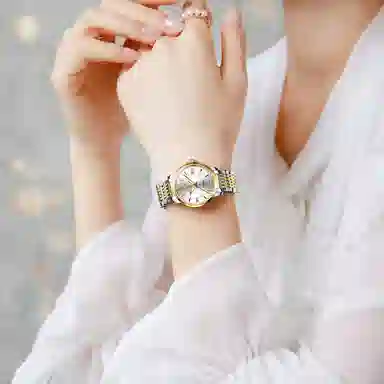 jin shi dun JSD.8943