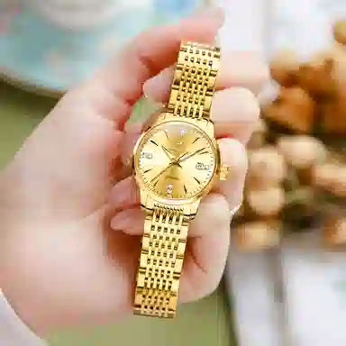 jin shi dun JSD.8943