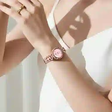 jin shi dun JSD.8988-G