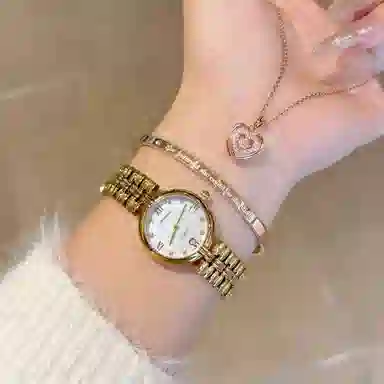 jin shi dun JSD.8987