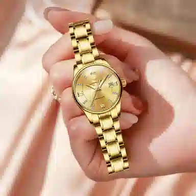 jin shi dun JSD.8933