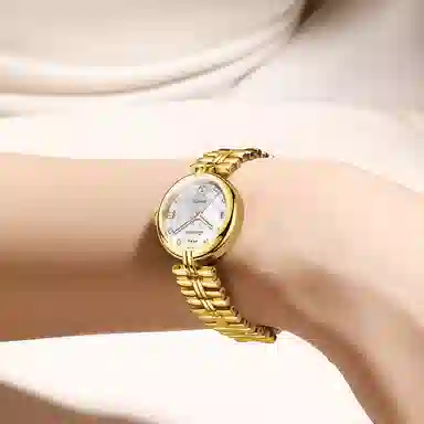 jin shi dun JSD.8987