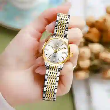 jin shi dun JSD.8943