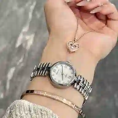 jin shi dun JSD.8987