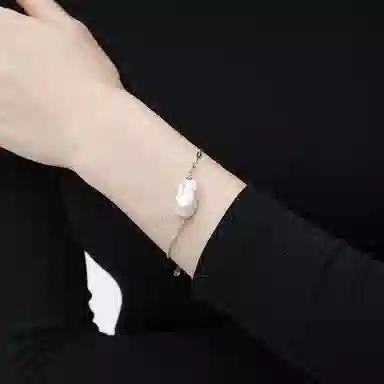 ins S925