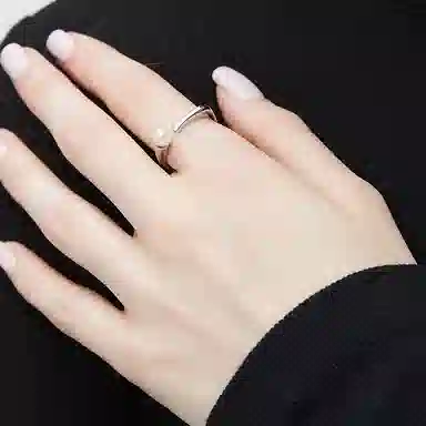 ins 925