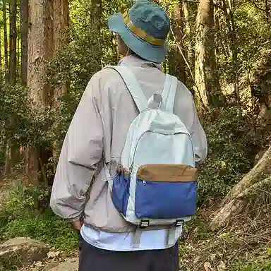 wolfhorse