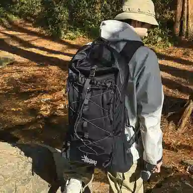 wolfhorse