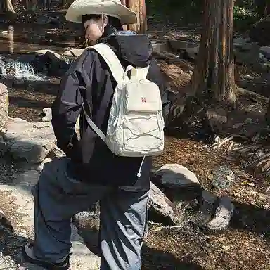 wolfhorse