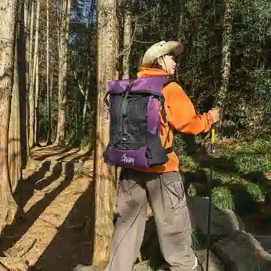 wolfhorse