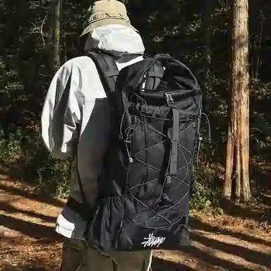 wolfhorse