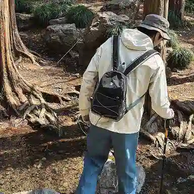 wolfhorse