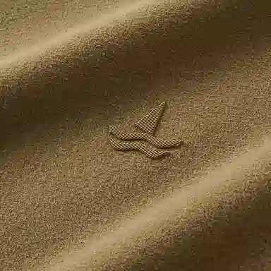 NAVIGARE