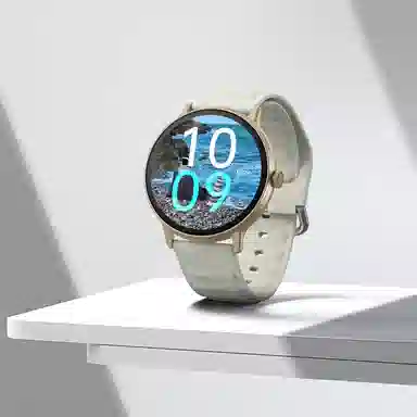 ZUCK - 100+