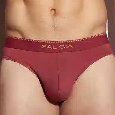 SALIGIA 3