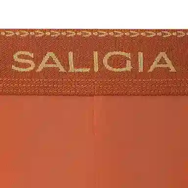 SALIGIA 3