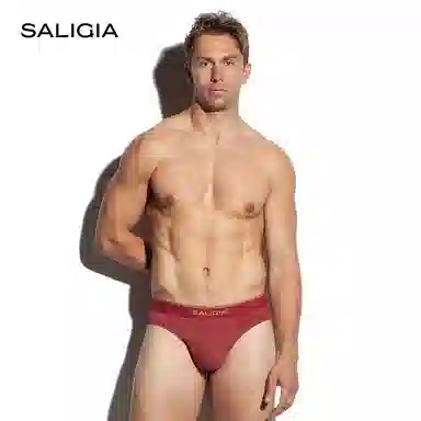 SALIGIA 3