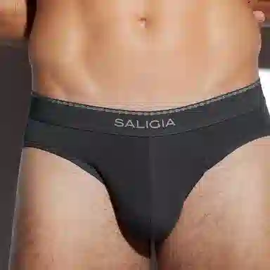 SALIGIA 3