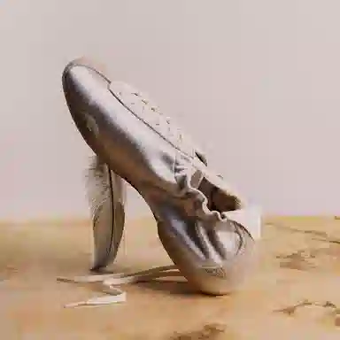 PANE Sterling Coin Ballet Trainer Low Silver