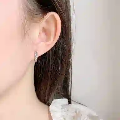 ins S925