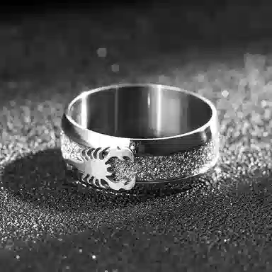 永恒旋律 银蝎子小众设计感单戒 潮牌百搭高级感闭口戒 个性霸气时尚嘻哈街头通勤风 钛钢 戒指 男款