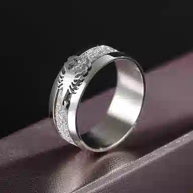 永恒旋律 银蝎子小众设计感单戒 潮牌百搭高级感闭口戒 个性霸气时尚嘻哈街头通勤风 钛钢 戒指 男款