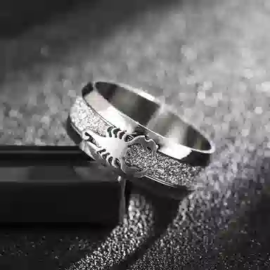 永恒旋律 银蝎子小众设计感单戒 潮牌百搭高级感闭口戒 个性霸气时尚嘻哈街头通勤风 钛钢 戒指 男款