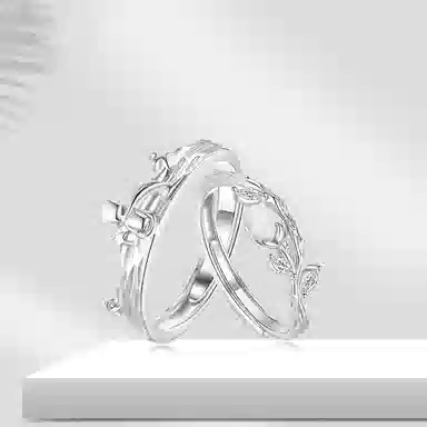 KING SIZE JEWELRY ins S999