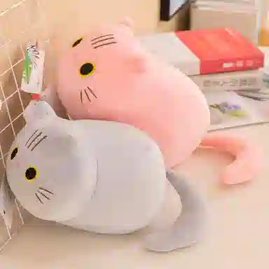 FKOFR 25cm35cm