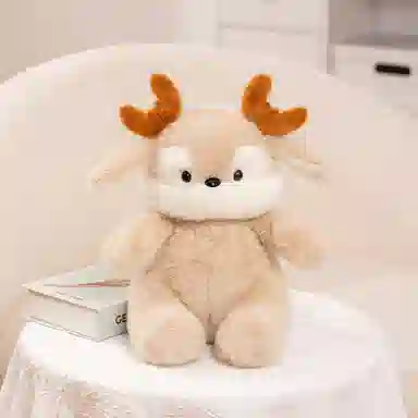 FKOFR 30cm40cm