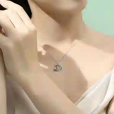 ins S925