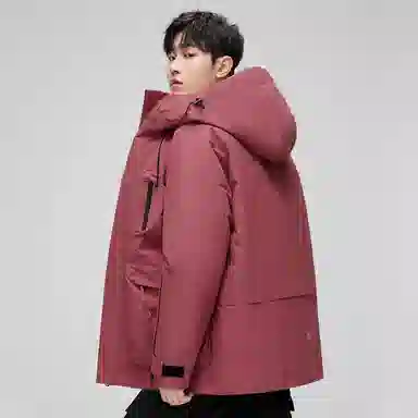 鸭鸭 可拆卸内胆三合一三防连帽纯色长袖羽绒服 女款