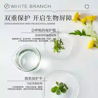 WHITEBRANCH B5 120ml+80g