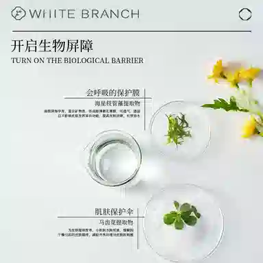 WHITEBRANCH B5 120ml