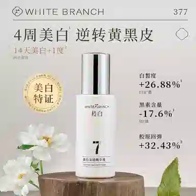 WHITEBRANCH 377 30ml30ml*230ml*3