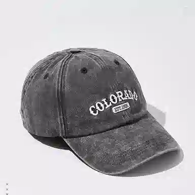 The Green Party 1995